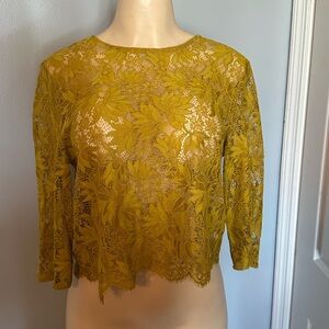 ZARA Elegant Mustard Lace Top